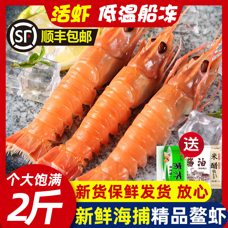 新鲜海捕鳌虾鲜活深海海螯虾