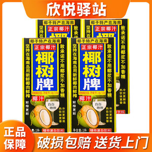 椰树牌椰汁1L*2盒椰汁植物蛋白饮料海南特产椰奶椰子水正品包邮