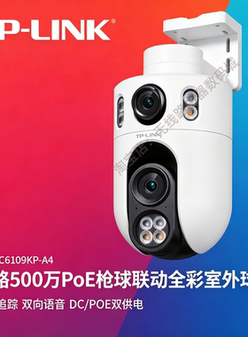 TP-LINK-POE全彩语音室外球机