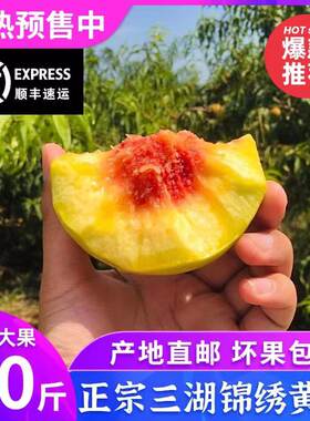 黄桃脆甜三湖黄桃性价比高