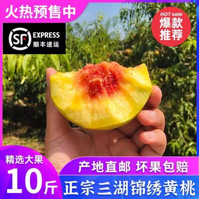 黄桃脆甜三湖黄桃性价比高