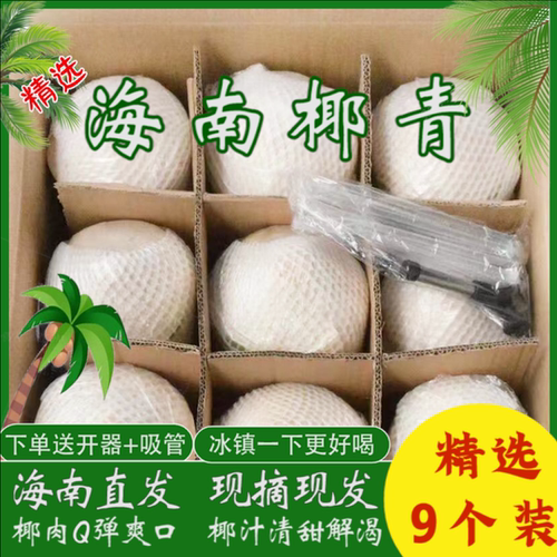 海南三亚椰青新鲜椰子9个大果原箱 当季水果新鲜椰子鸡耶青包邮