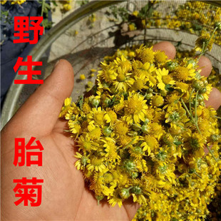 正宗沂蒙山野生胎菊花贡菊250g茶叶 沂蒙山野生菊花茶胎菊野菊花