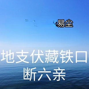 易尘老师地支伏藏铁口duan六亲