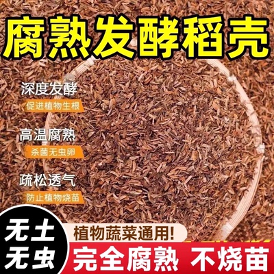 纯稻壳发酵腐熟稻谷壳
