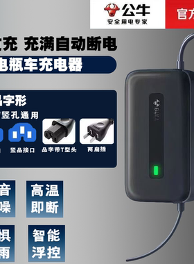品公牛电动车电瓶充电器60v72v20AH铅酸电池专用自动关机通用插头