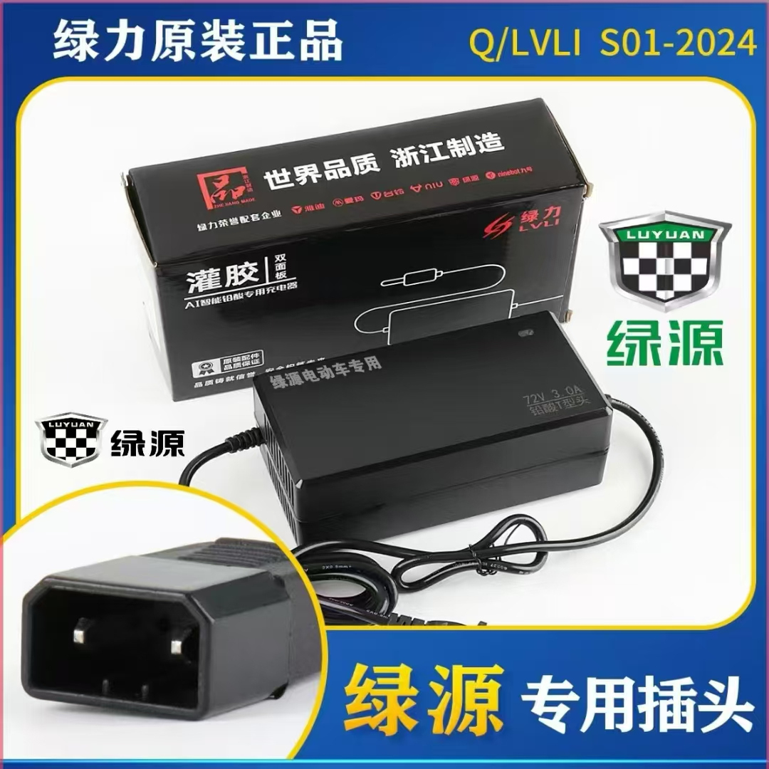 抖音 绿力自动关机电动车铅酸充电器60V20Ah电池充电器新国标新货