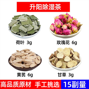 荷叶 玫瑰 黄芪 甘草中药材组合养生茶 解决春困烦恼 升阳除湿茶