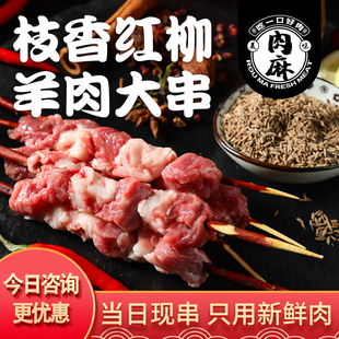 新疆红柳羊肉串烤肉签子大串烧烤食材半成品新鲜冷冻牛街商用5串