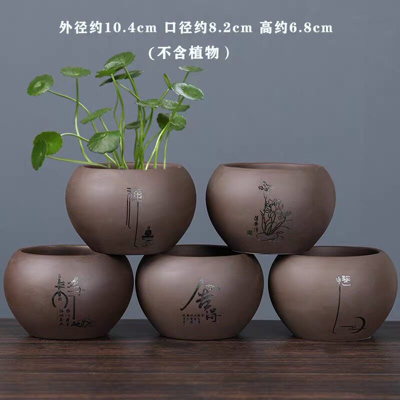 多肉花盆特价清仓肉肉老桩绿植小盆栽客厅创意粗陶透气文竹紫砂罐