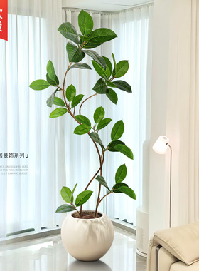 孟加拉榕仿真绿植高端轻奢室内客厅高级中古风装饰仿生植物假绿植