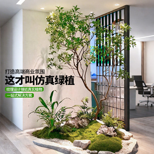 精品马醉木绿植造景橱窗植物室内仿真榕树装 饰树大型假树简约景观