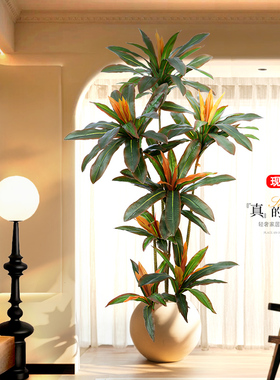 仿真绿植红铁树居家客厅玄关装饰高级感仿生绿植大型落地盆栽摆件