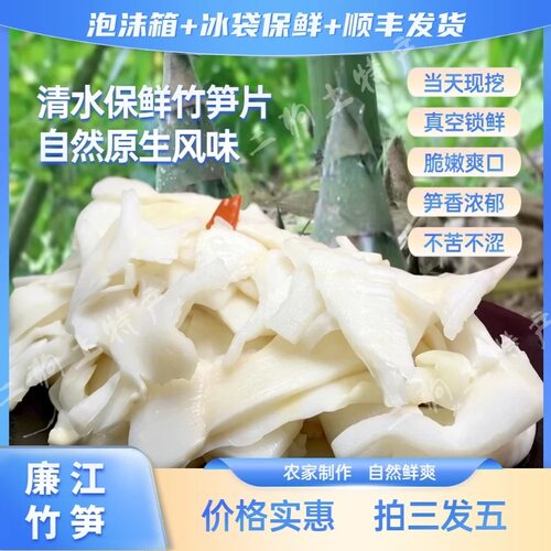 廉江清水竹笋片 新鲜现挖原味麻竹笋 湛江脆嫩大头笋 【顺丰包邮