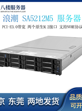 浪潮 SA5212 5280 M5 服务器 支持NVME U.2 大显卡 8175M R740XD
