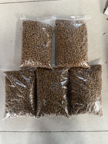 艾尔猫粮海洋鱼味猫粮500g幼猫粮