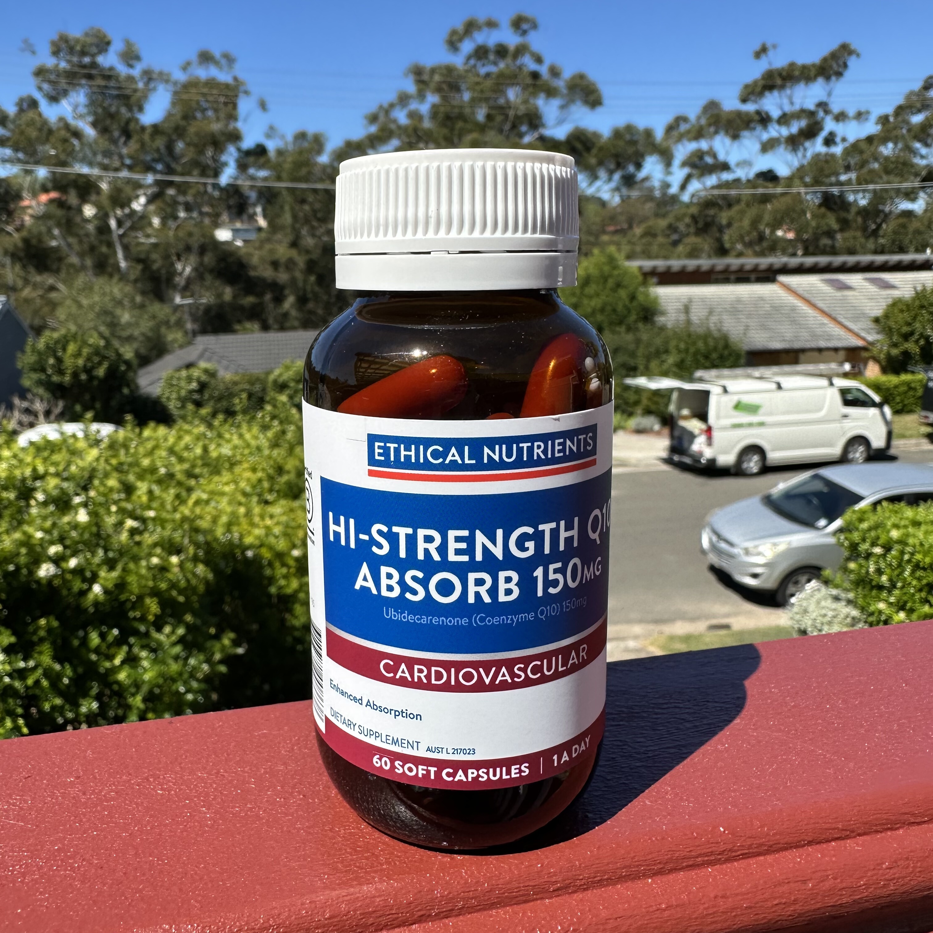 澳洲ethical辅酶q10供抗自由基