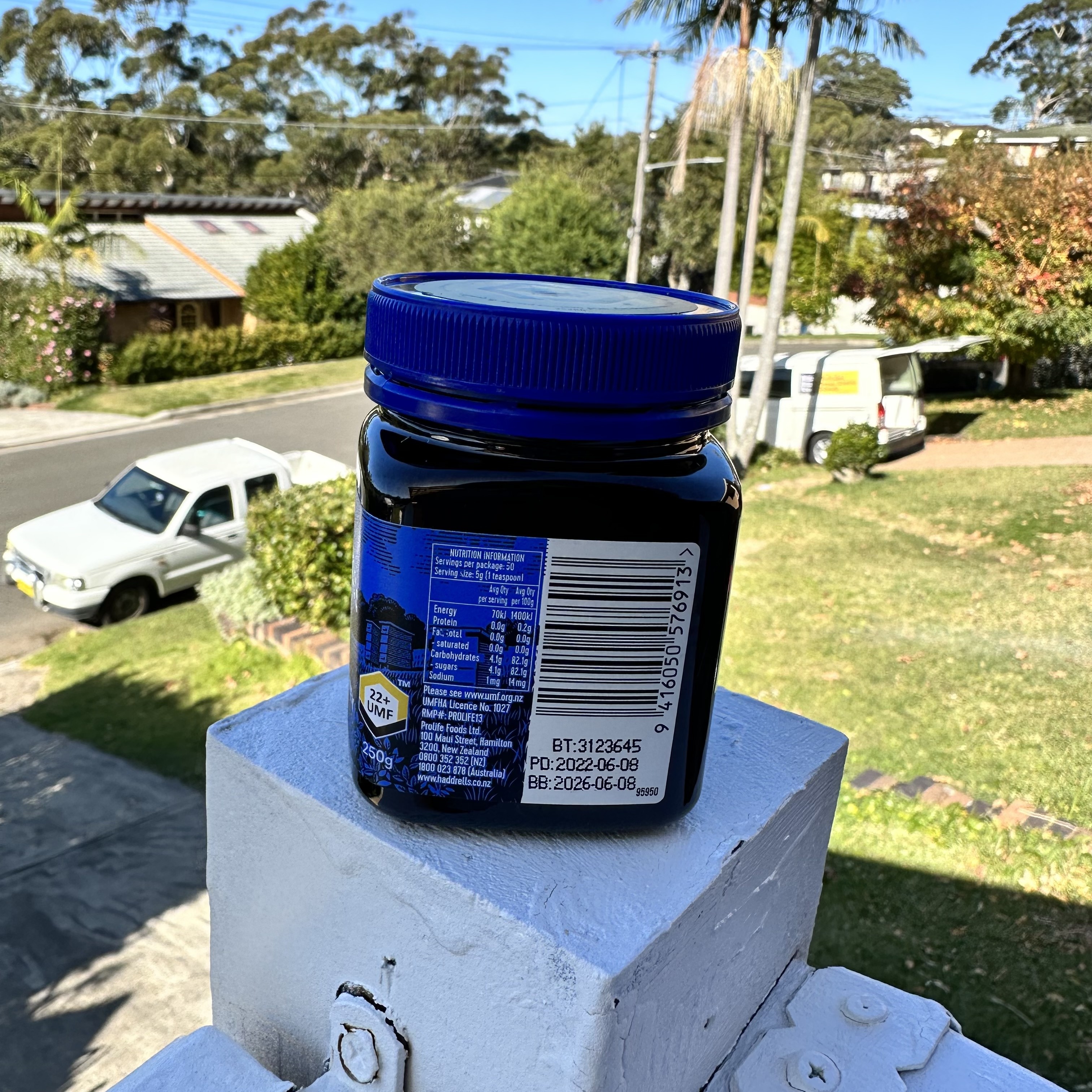 澳洲直邮Haddrell's 新西兰麦卢卡蜂蜜250g (MGO1000+)UMF22+