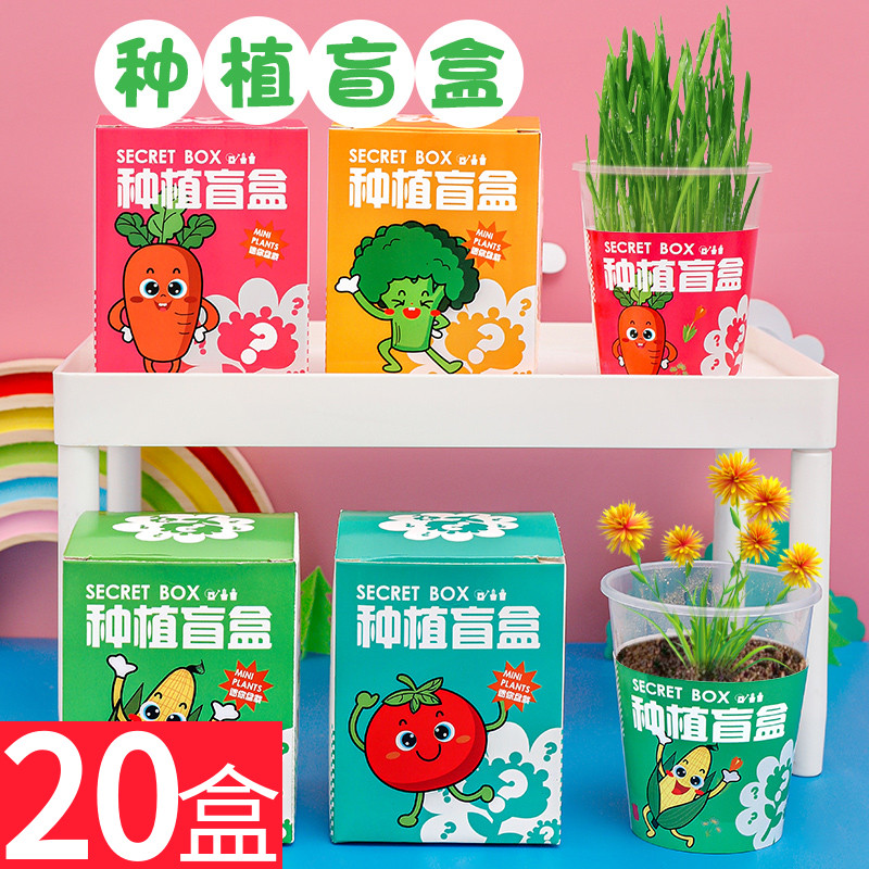 幼儿园生日礼物回礼种植盲盒小盆栽 创意儿童植物花卉种子小礼品
