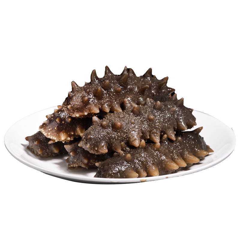 好当家即食海参500g8-12头袋装