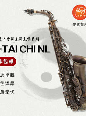 韦笙堡 太极系列A-TAI CHI NL 调性Eb最高音#F意大利原装按键皮垫