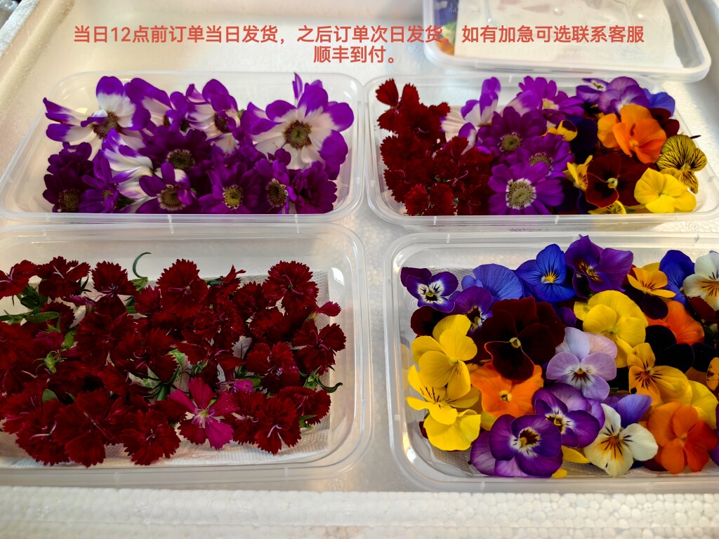 现采可食用花三色堇 蛋糕烘焙装饰西餐摆盘点缀 饭店专用花草盘饰