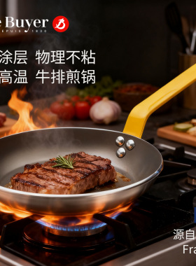 debuyer法国进口不粘锅家用平底锅煎锅电磁炉彩色手柄主厨牛排锅