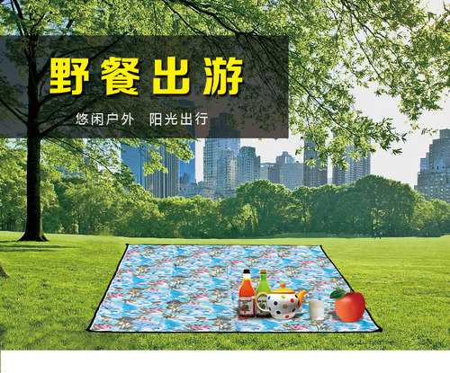 野餐垫防潮垫沙滩垫帐篷垫野餐布防水布600DPVC加厚地布耐磨地布