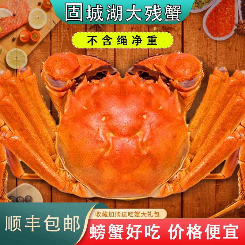 3斤净重固城湖大闸蟹残蟹螃蟹高淳公母大鲜活次蟹断腿缺脚残脚