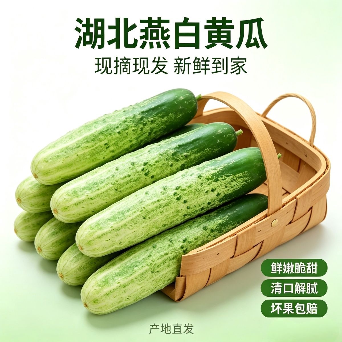 武陵山云雾里 利川本地只长一季的老种燕白黄瓜 给懂原生本味的人图片