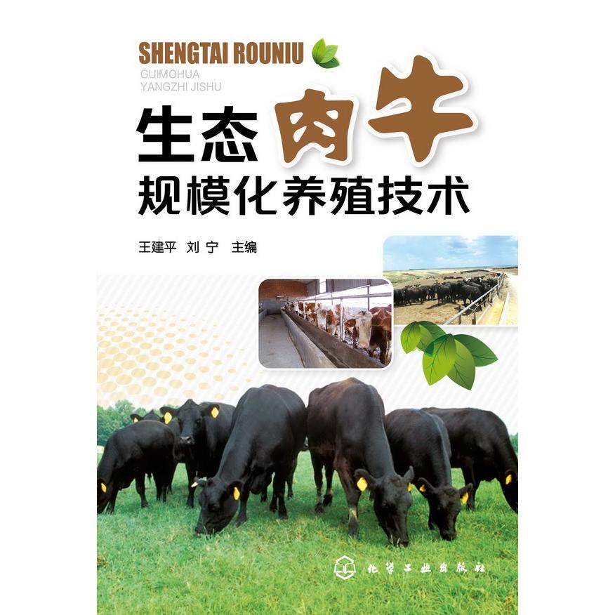 正版图书生态肉牛规模化养殖技术王建平//刘宁化学工业出版社书籍/杂志/报纸/工业/农业技术/农业/畜牧/养殖纸质书籍