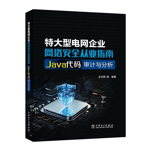 正版图书特大型电网企业网络安全从业指南 Java代码审计与分析王文辉,等中国电力出版社