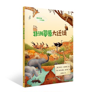 正版图书假如你是一只动物：草原大迁徙（神秘岛）著者：(德)芭贝尔·奥弗特林 绘者：(德)亚历山德拉·赫尔姆 译者：过佳逸