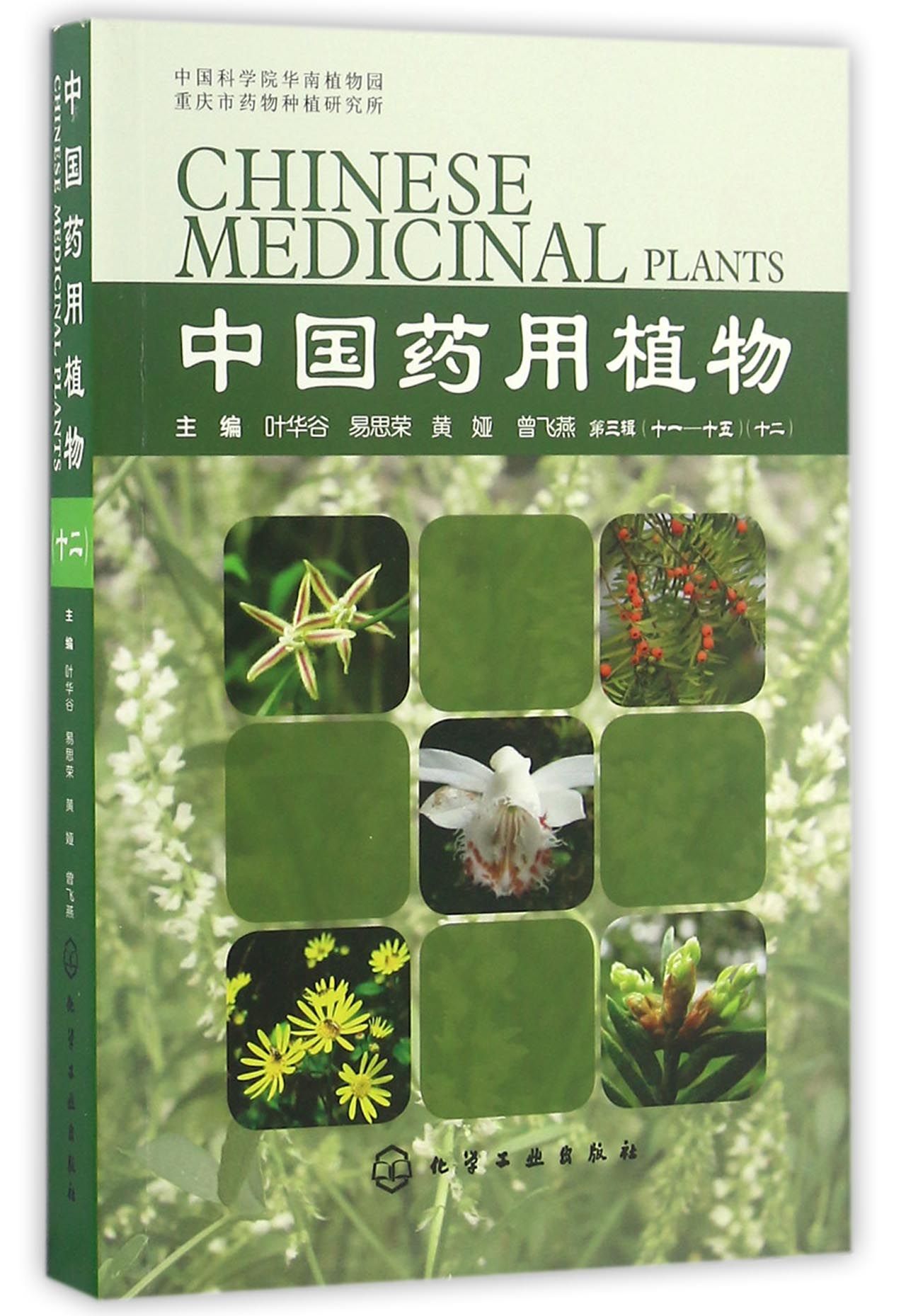 正版图书中国药用植物(12)叶华谷等化学工业出版社9787122274151