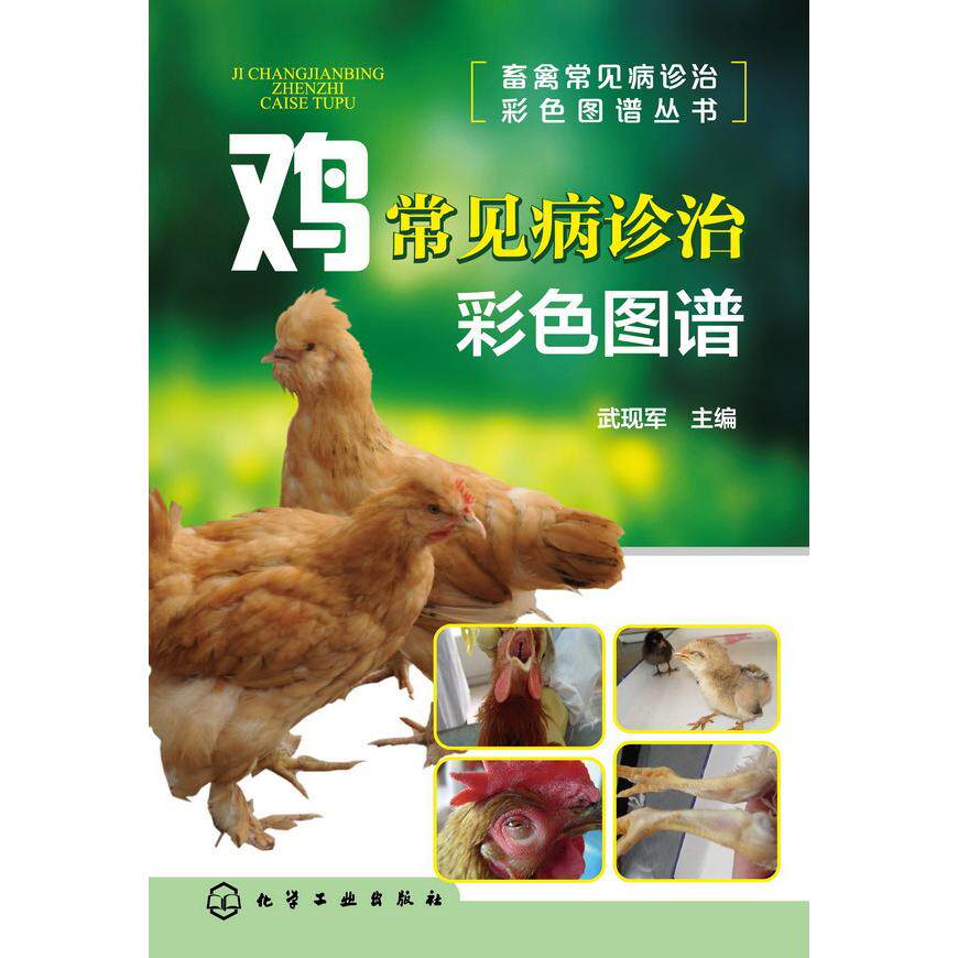 正版图书鸡常见病诊治彩色图谱武现军 主编 著作化学工业出版社书籍/杂志/报纸/工业/农业技术/农业/畜牧/养殖纸质书籍