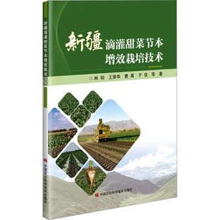 正版图书新疆滴灌甜菜节本增效栽培技术林明等著中国农业科学技术出版社有限公司