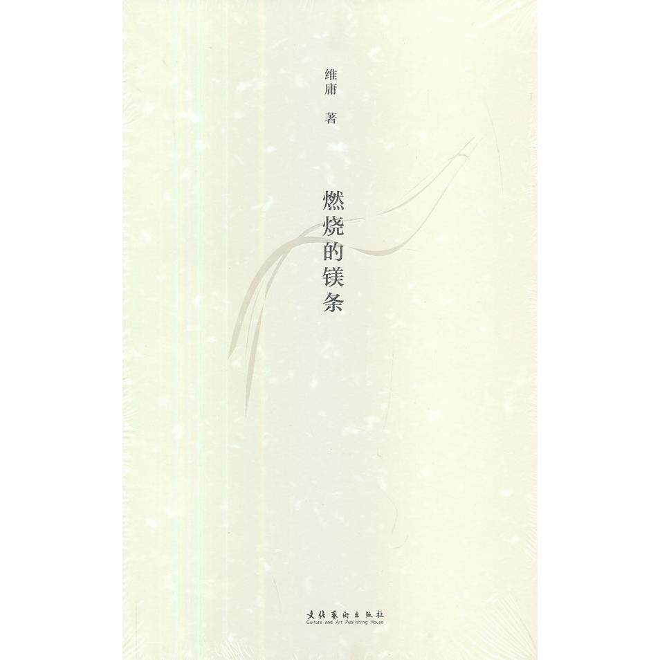 正版图书燃烧的镁条维庸 著文化艺术出版社中国近代随笔纸质书籍