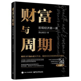 正版 经济理论纸质书籍 图书财富与周期汤山老王电子工业经济