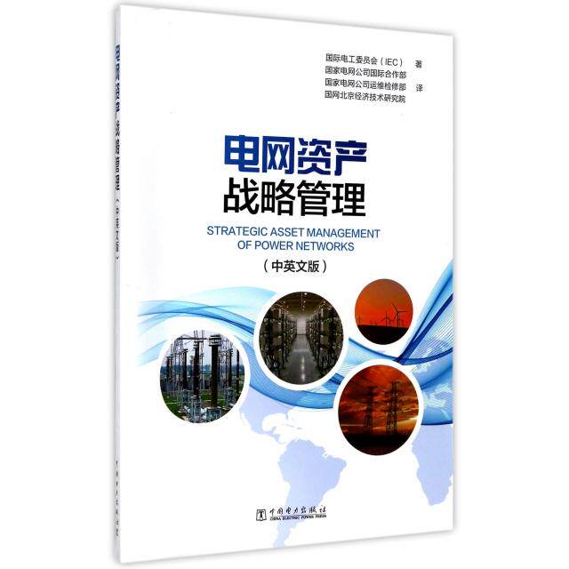 正版图书电网资产战略管理(中英文版)国际电工委员会（IEC）中国电力出版社书籍/杂志/报纸/工业/农业技术/电工技术/家电维修
