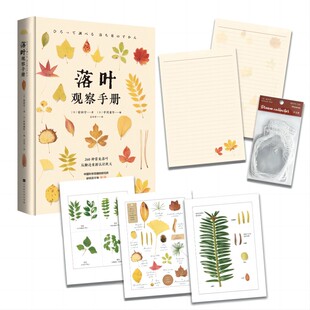 安田守著； 中川 重年编；北京时代华文书局艺术 正版 新 日 摄影艺术 纸质书籍 图书落叶观察手册