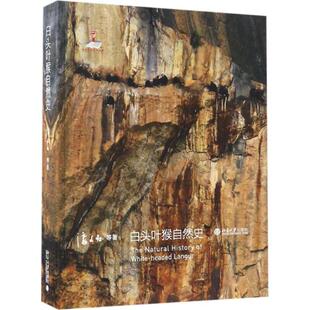 正版图书白头叶猴自然史潘文石 等北京大学出版社/教材/教辅//中学教辅纸质书籍