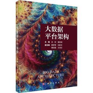 正版图书大数据平台架构吕欣，黄宏斌主编科学出版社教材纸质书籍