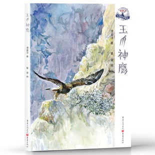 正版图书浬鎏洋大自然文学精品•玉爪神鹰/浬鎏洋大自然文学精品浬鎏洋重庆出版社儿童文学纸质书籍