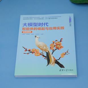 正版图书大模型时代——智能体的崛起与应用实践（微课视频版）王瑞平、张美航、王瑞芳、吴志刚清华大学出版社计算机控制与工智能