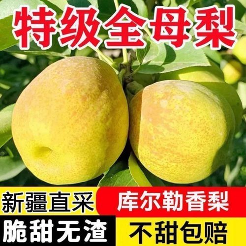 新疆库尔勒香梨正宗全母梨子新鲜鲜果当季水果孕妇整箱顺丰包邮