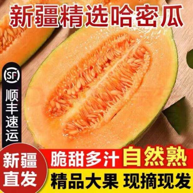 新疆吐鲁番现摘现发孕妇水果