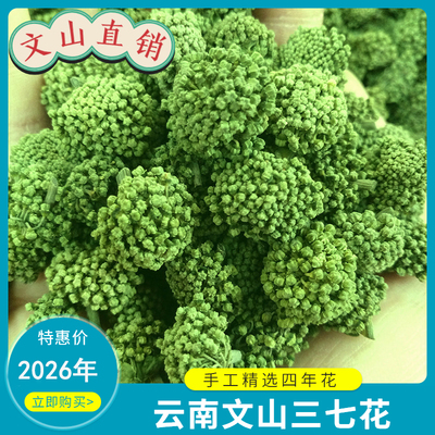 三七花云南文山特产三七花2026年新花精选田七花三七花茶四年花