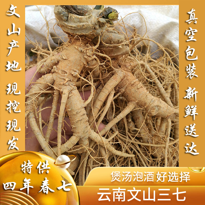 云南文山鲜三七现挖新鲜三七根干三七根须湿活田七泡酒煲汤料包邮