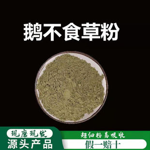 鹅不食草粉破壁超细粉高品质中药材鹅不食粉另有辛夷花500克包邮