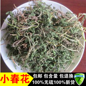 中药材野生小春花 一朵云 破天云 阴地蕨 独立金鸡 散血叶500克